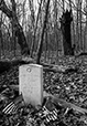 At Rest 19